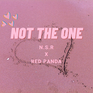 Not The One (feat. Red Panda) (Original Version)