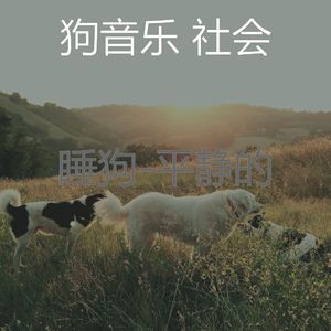 睡觉的小狗(畅快)