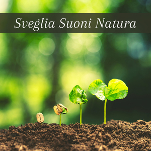 Musica naturale per riequilibrabre mente e corpo