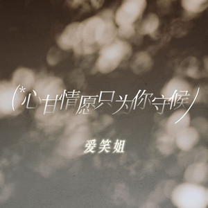 心甘情愿只为你守候