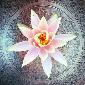 Deep Meditation Sonic Journey (feat. Portia Tang & Michael Green)