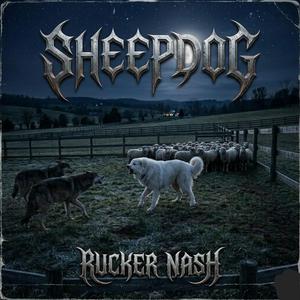 SHEEPDOG (Irish duet)