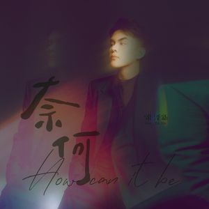 奈何（郭泽新版二胡伴奏）