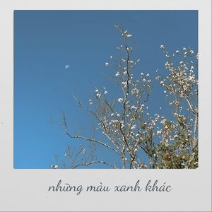 Cánh Cửa Màu Xanh Berin