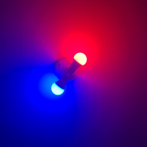 Bass Lights