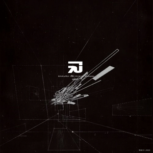 Project28 [アキラ] (Mystic Rework)