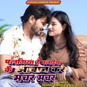 Palagiya Hai Palaiya Ke Aawaz Kare Machar Machar