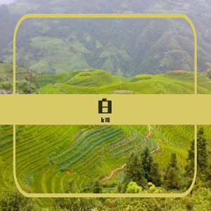 白月光