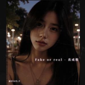 Fake or real - 真或假