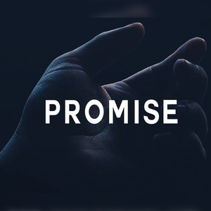 Promise