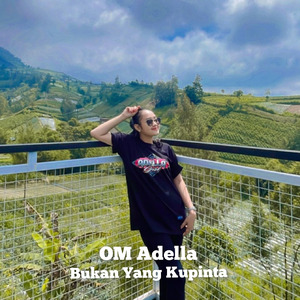 Bukan Yang Kupinta (Live)