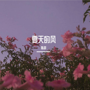 夏天的风