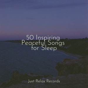 Echoes of Manifested Dreams