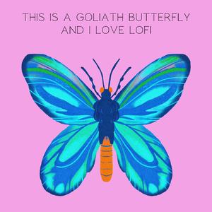 This Is a Goliath Butterfly and i Love Lofi