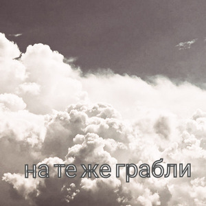 На те же грабли