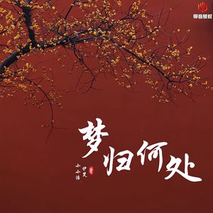 梦归何处（说唱版）