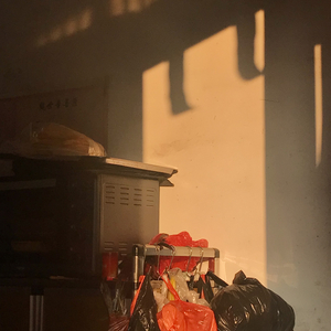 冬夏