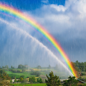 Rhythmic Riches: Pack Money Mix