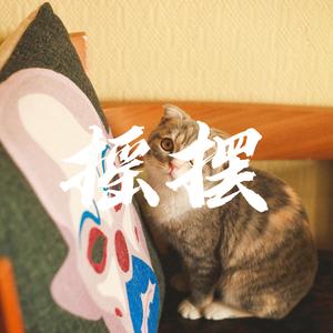 跟着我的猫一起摇摆