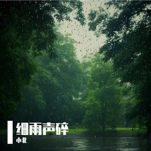 细雨声碎