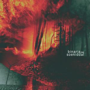 Binaria (Instrumental)