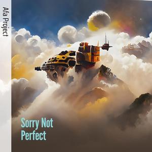 Sorry Not Perfect