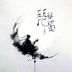 琵琶曲 (DJ细霖版)
