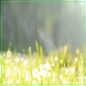 기다림도 사랑이라 말할 수 있나요