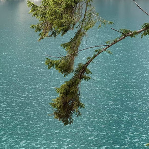 蝴蝶步-迈克尔泰森进行曲