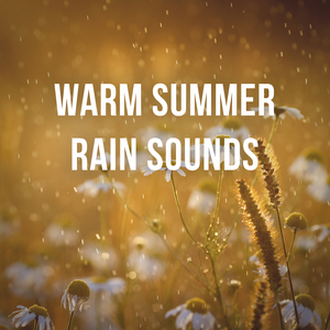 1 Hour of Warm Summer Rain Sounds to Calm Down & Relax