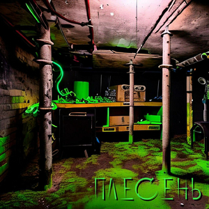 Плесень
