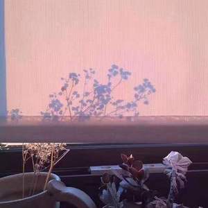 熬夜上瘾（翻自 刘亦心（可乐就是力量））