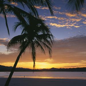 Нашид про маму