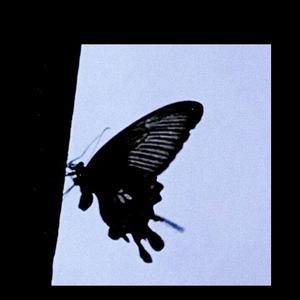 姜 （Prod By Camorra Mob）