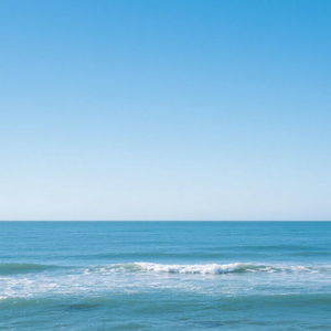 明月皎皎照我心