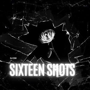 Sixteen Shots