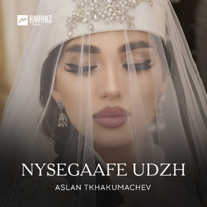 Nysegaafe udzh