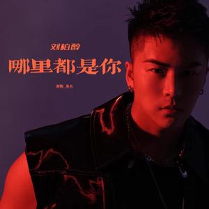 哪里都是你