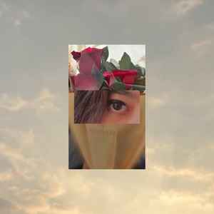 Wo Meri