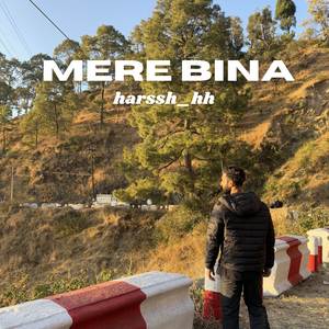 Mere Bina