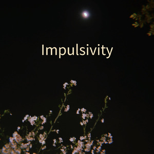 O sol por entre as árvores