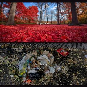 This car is a carcass