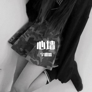 高端人士必备 (DJ版)