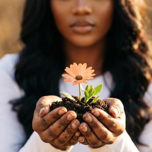 Not Buried, I've Been Planted
