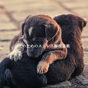 Music (Soothing Days)