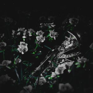 Der Song den ich niemals hätte schreiben sollen