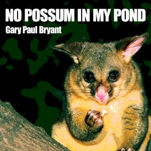 No Possum in My Pond (Remastered)