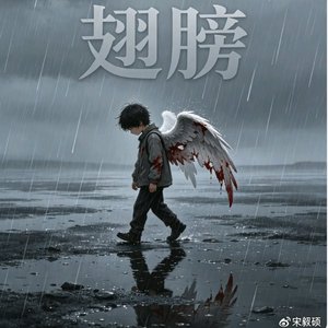 《翅膀》