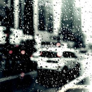 抚慰的风暴回忆