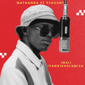 Imali Iyangikhulumisa